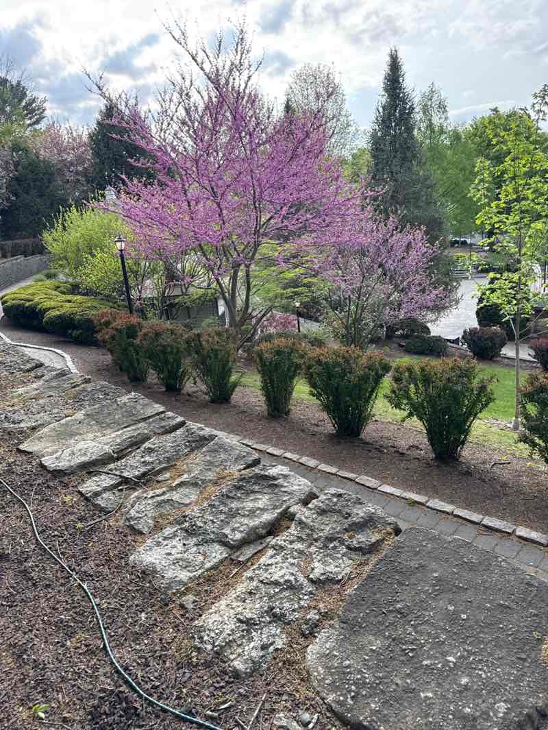 walking near me in Yuengling Bicentennial Park and Gardens in spring