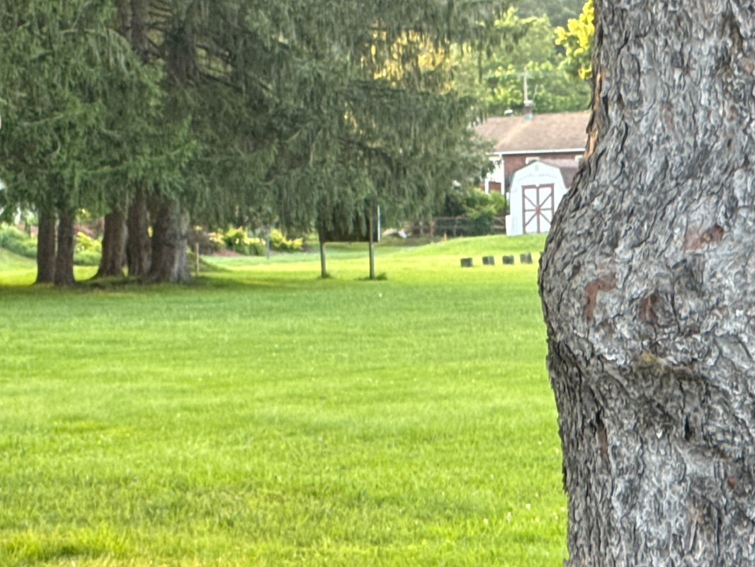 walking near me in Tremont Community Park in summer