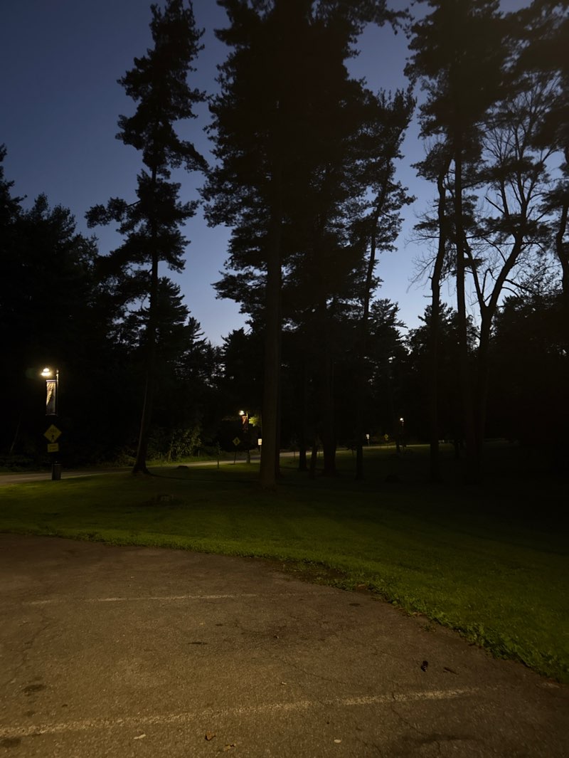 walking near me in Angelica Creek Park in autumn
