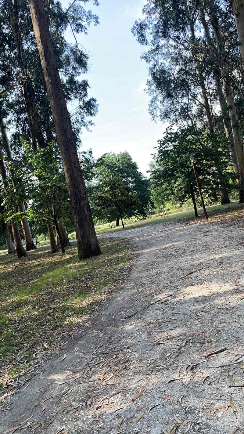 walking near me in Parque Illa das Esculturas in winter