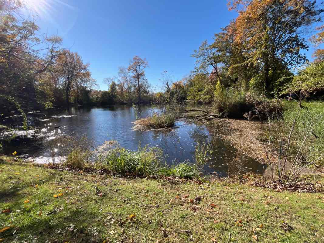 walking near me in Pond Park in autumn