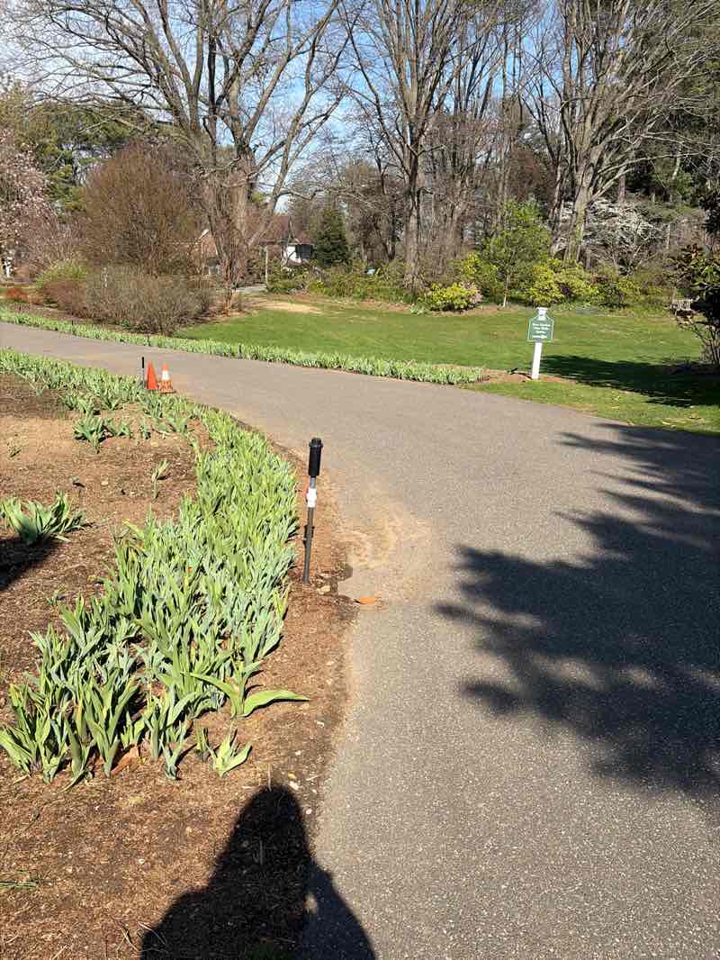 walking near me in Clark Botanic Garden in spring