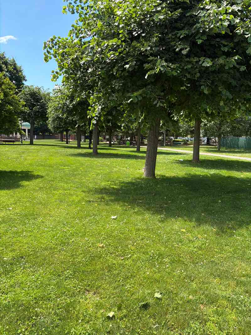 walking near me in Village Green Park in summer