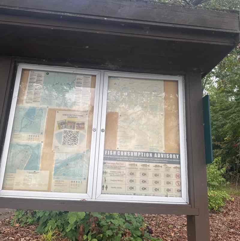 Kirei LynNenise post 2