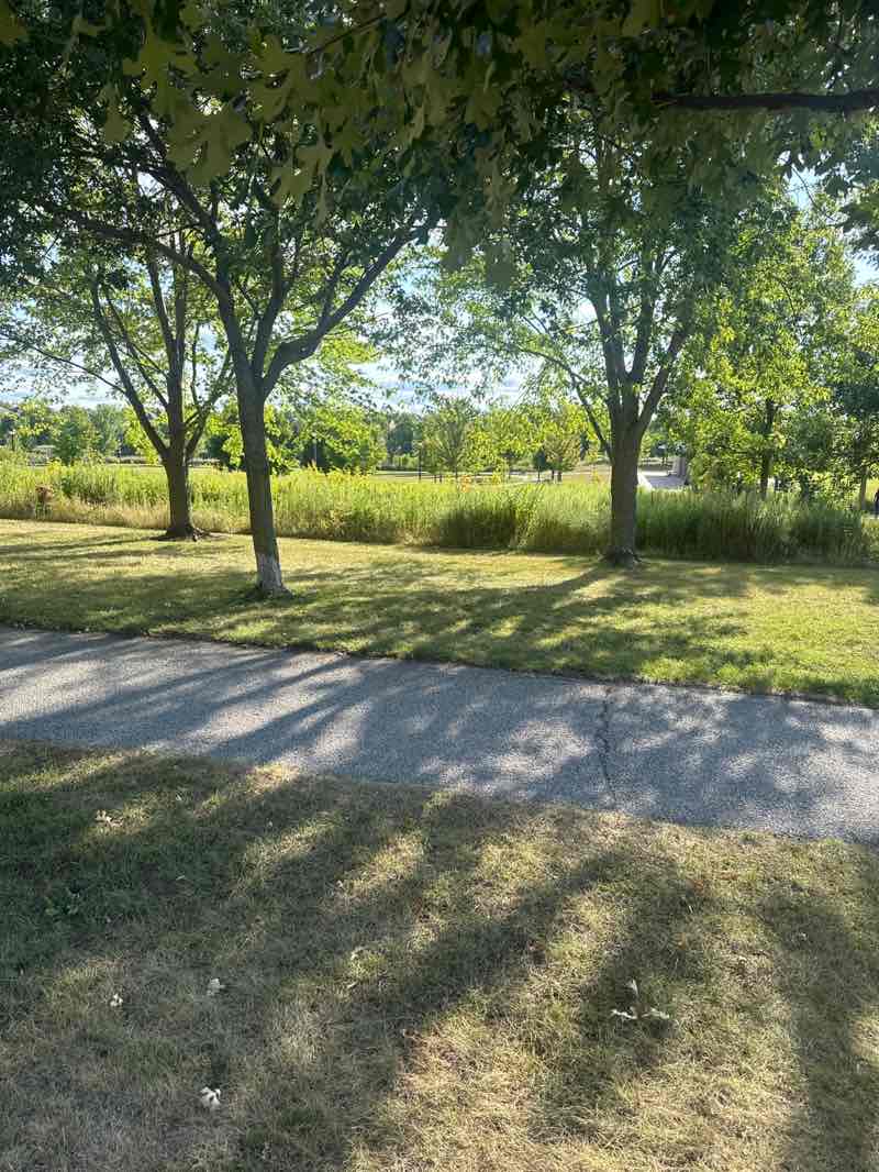 walking near me in Berczy Park North in autumn