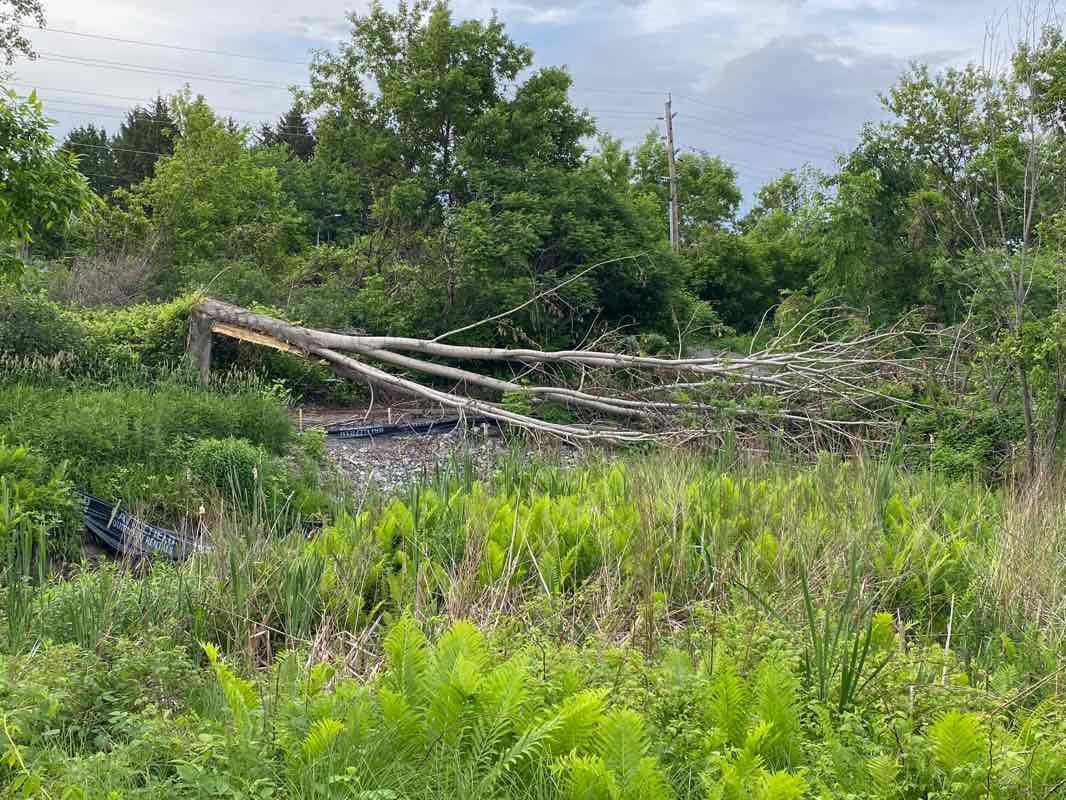 walking near me in Nepean Creek Park in winter