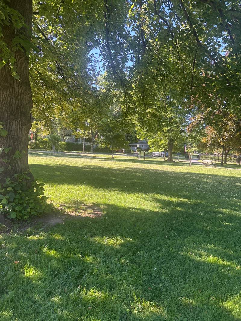 walking near me in Mindowaskin Park in summer