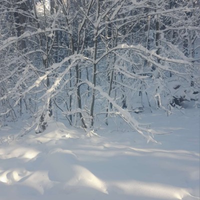 CAMELOT 🏰 Ombre🎖️🏰🎖️ post image