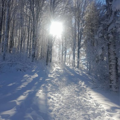 CAMELOT 🏰 Ombre🎖️🏰🎖️ post image