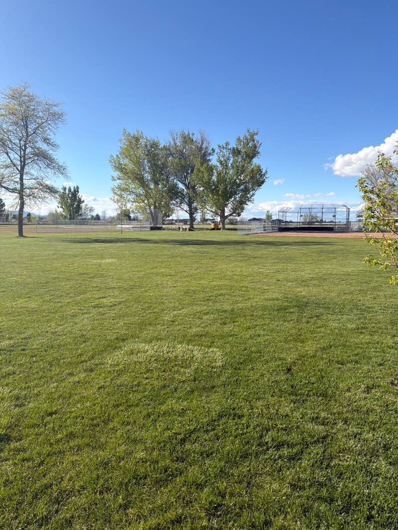 walking near me in Loy F. Blake Memorial Park in spring