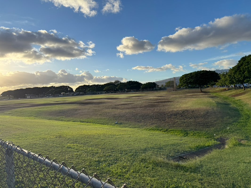 walking near me in Ewa Mahiko Park in winter