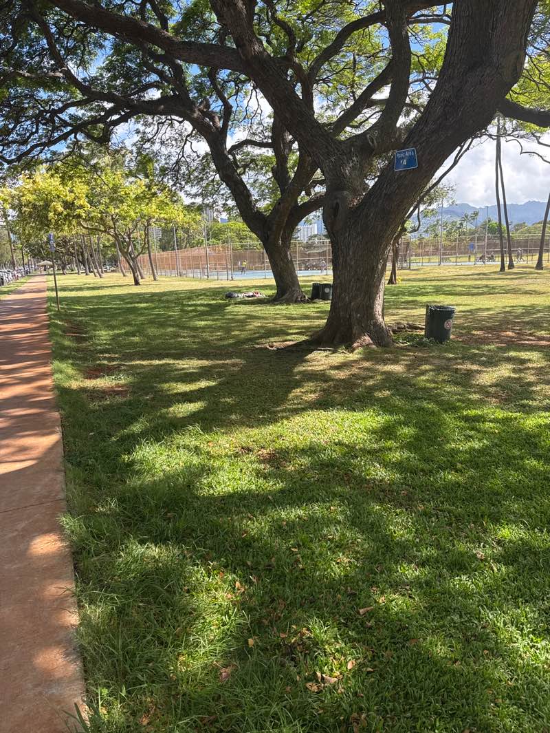 walking near me in Kaimana Beach Park in spring