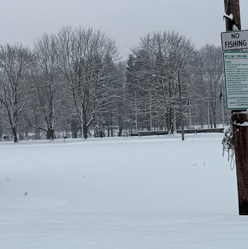 PacerGal_1958 post 1