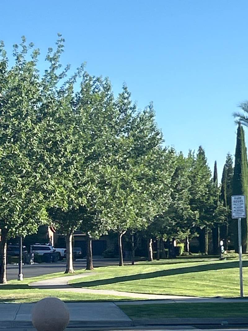 walking near me in Harlan Ranch Park in summer