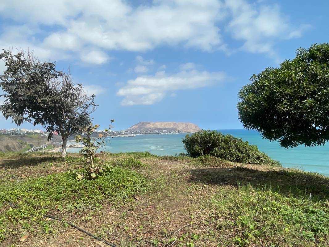 walking near me in Antonio Raimondi Park in summer