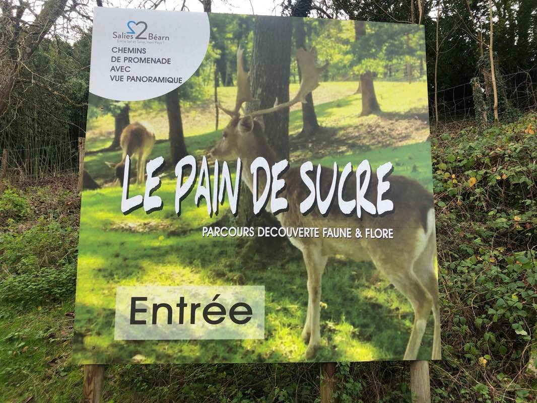 walking near me in Pain de Sucre in winter