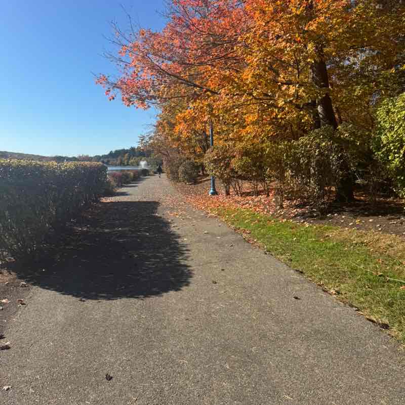 Crystal Alleyne post 3