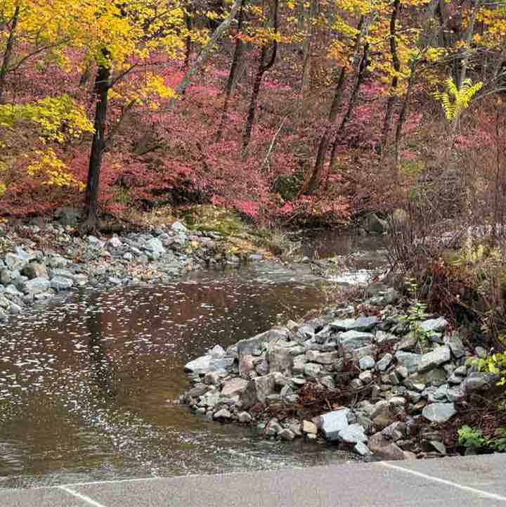 Crystal Alleyne post 2