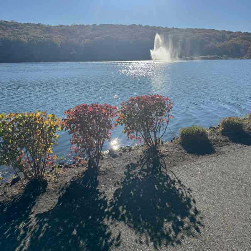 Crystal Alleyne post 2