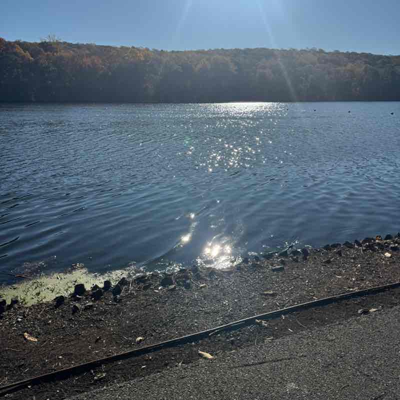 Crystal Alleyne post 1