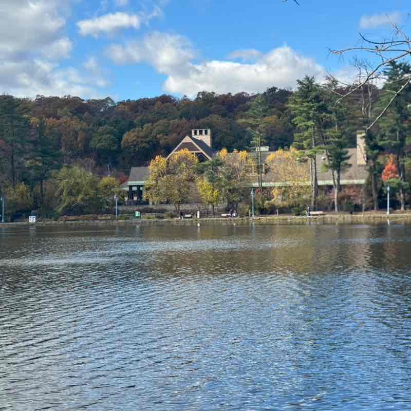 Crystal Alleyne post 3