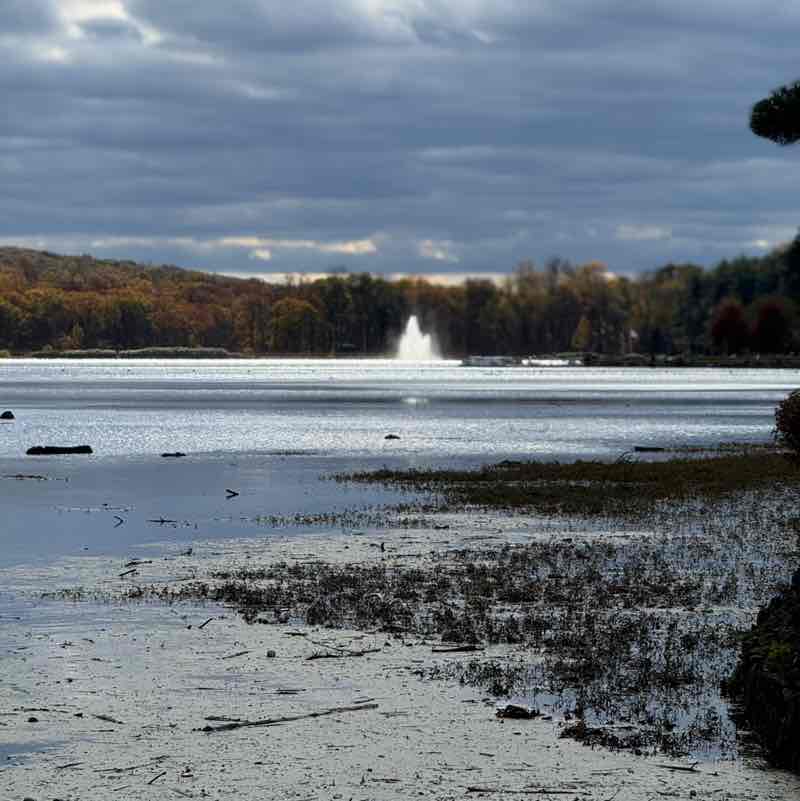 Crystal Alleyne post 1