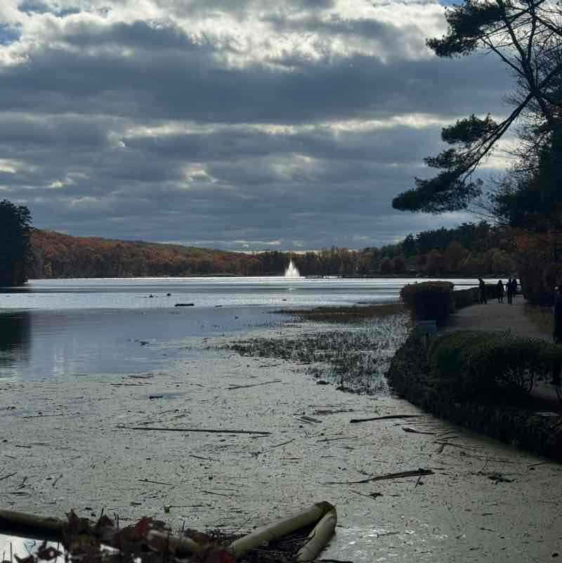 Crystal Alleyne post 2