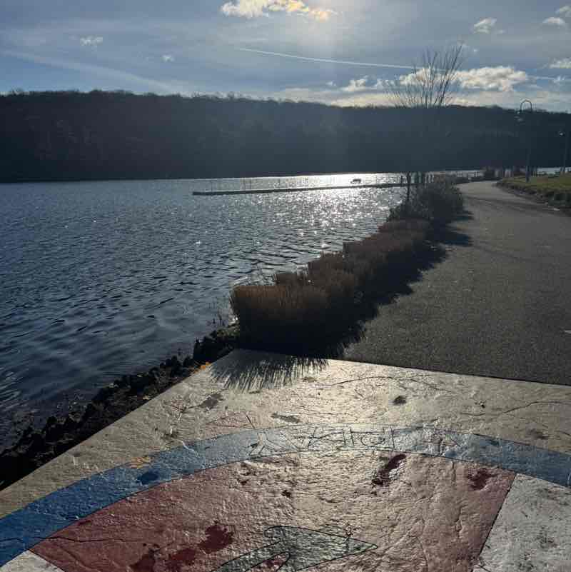 Crystal Alleyne post 2