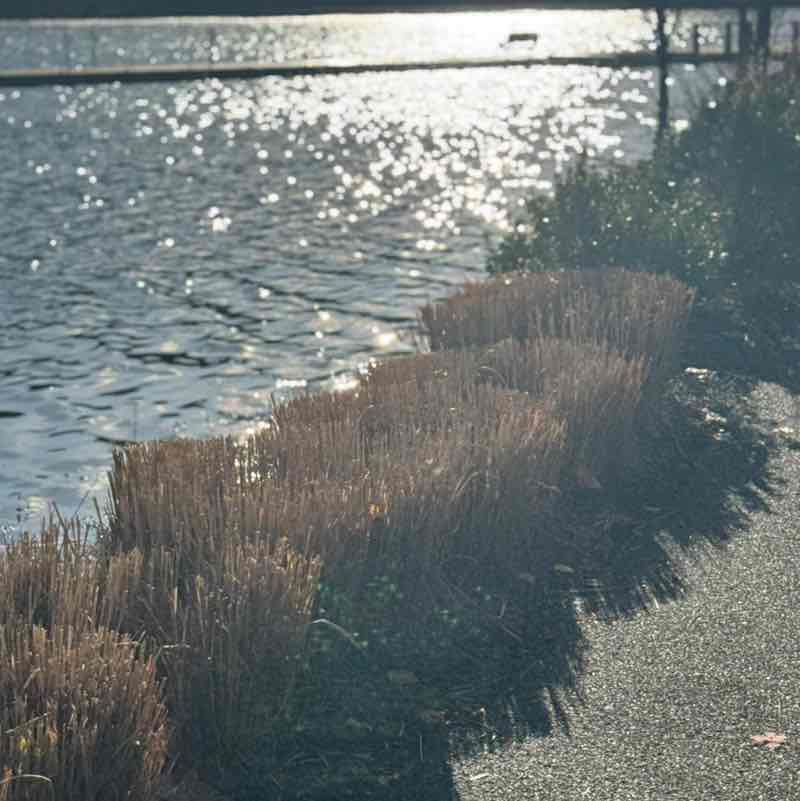 Crystal Alleyne post 1