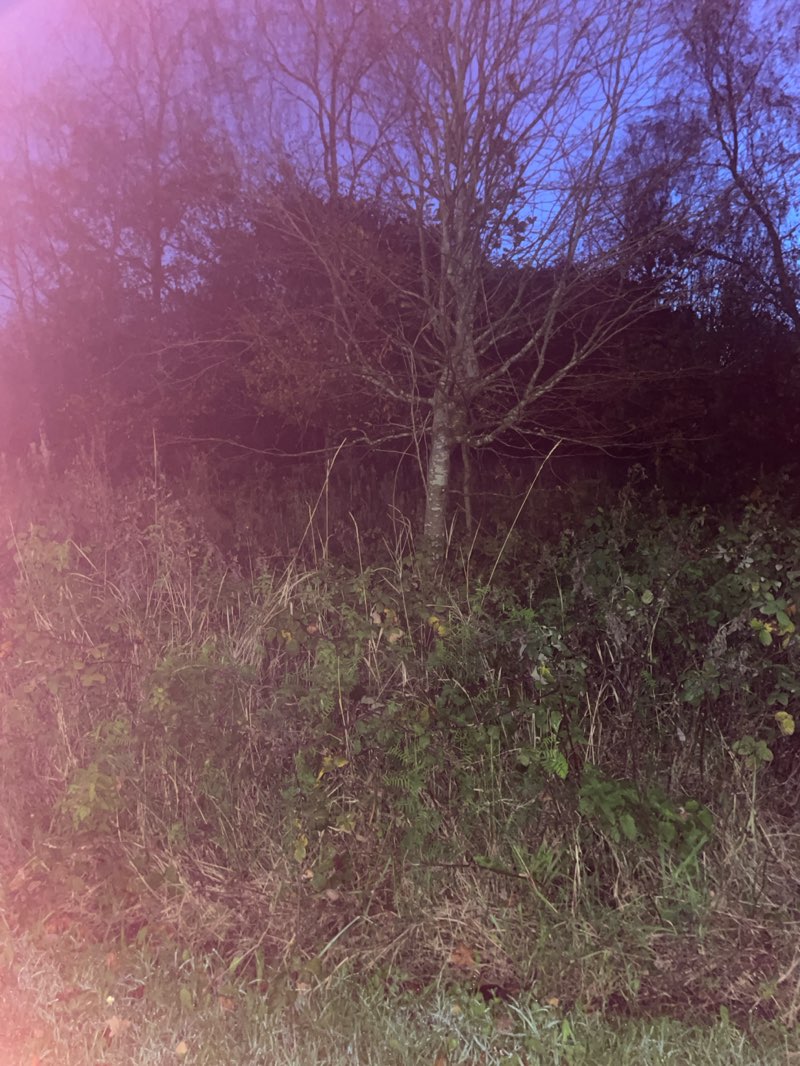 walking near me in Upton Rocks Park in autumn