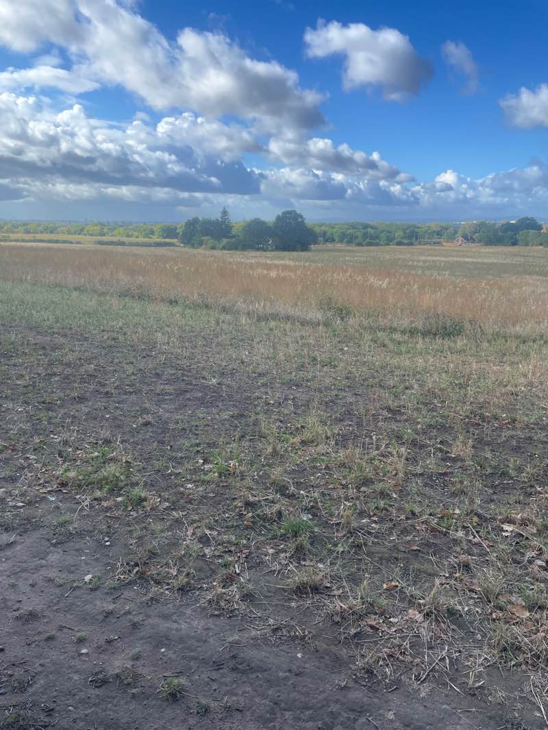 walking near me in Pex Hill in autumn