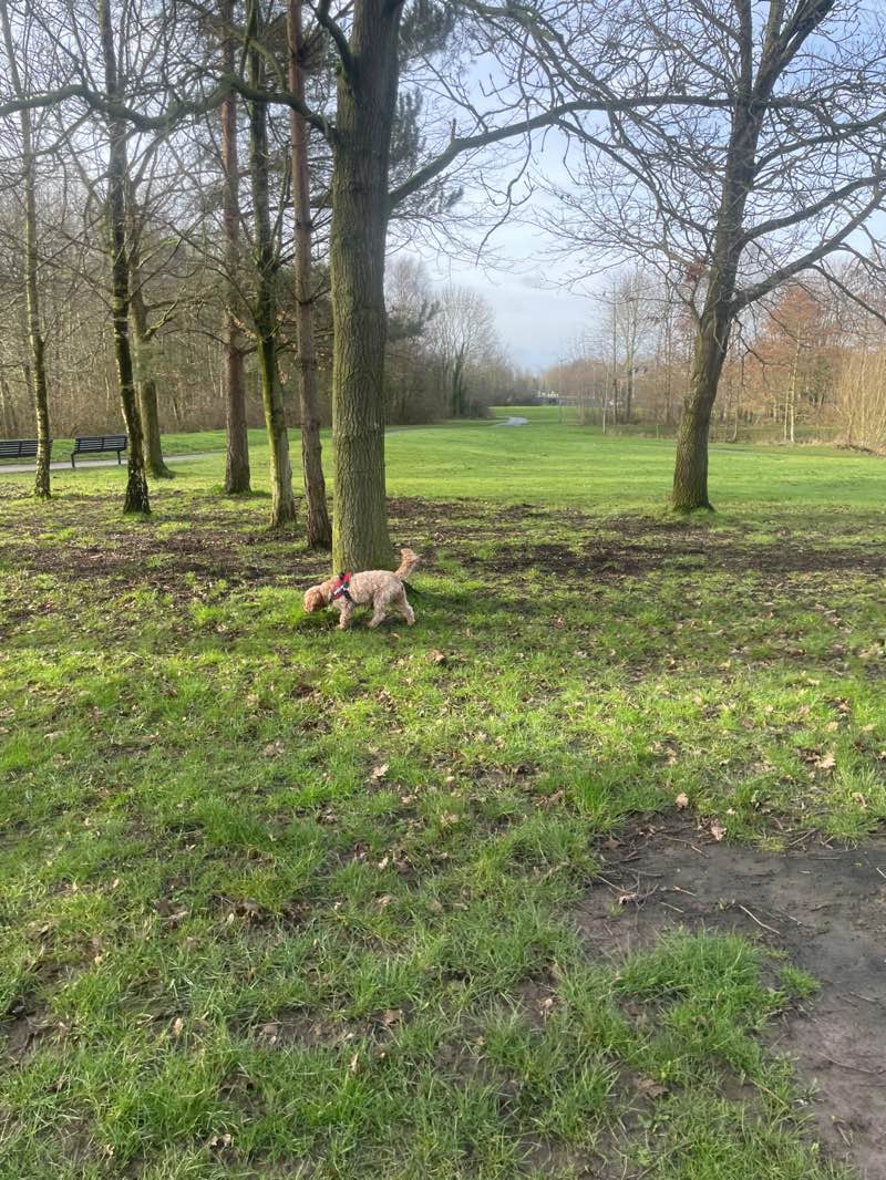 walking near me in Upton Rocks Park in winter