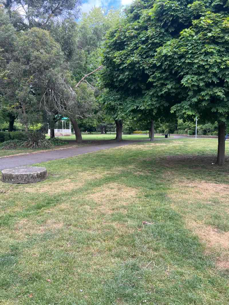 walking near me in Fassnidge Park in summer