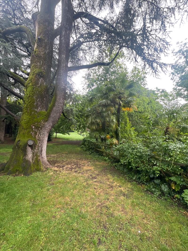 walking near me in Giardino Caprotti in spring
