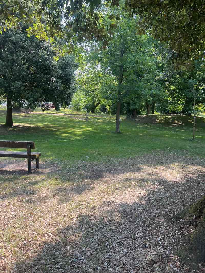 walking near me in Llandennis Oval in summer