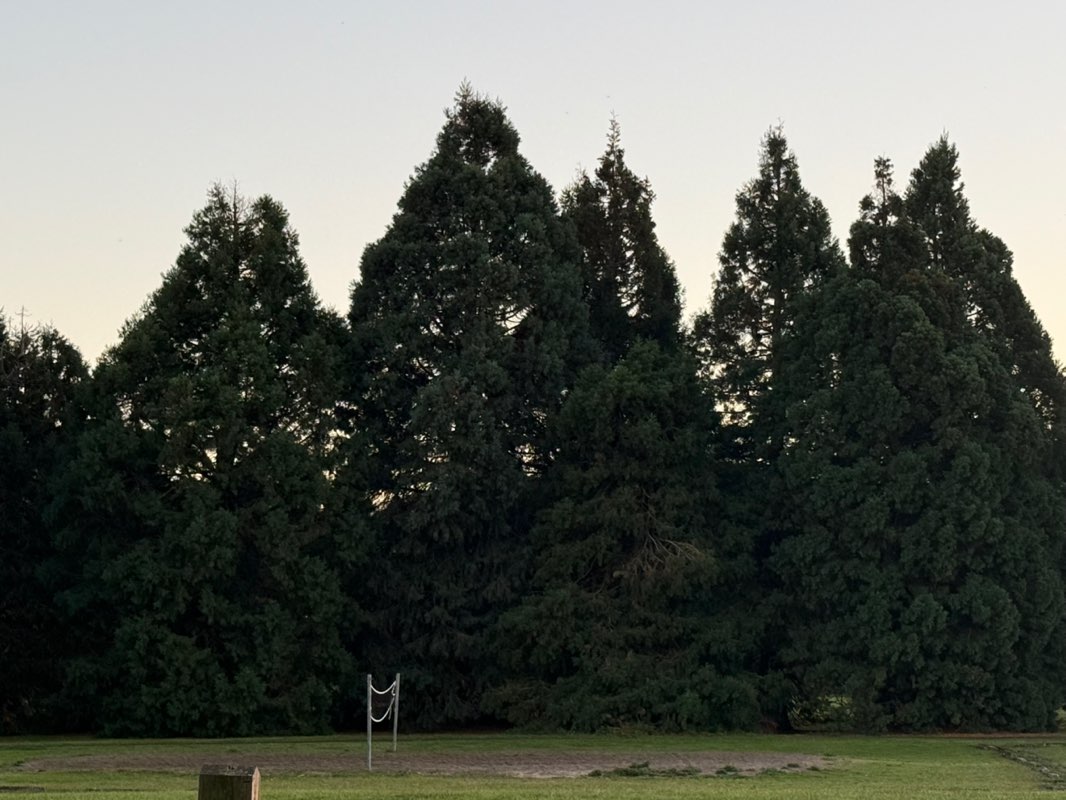 walking near me in Blue Lake Regional Park in autumn
