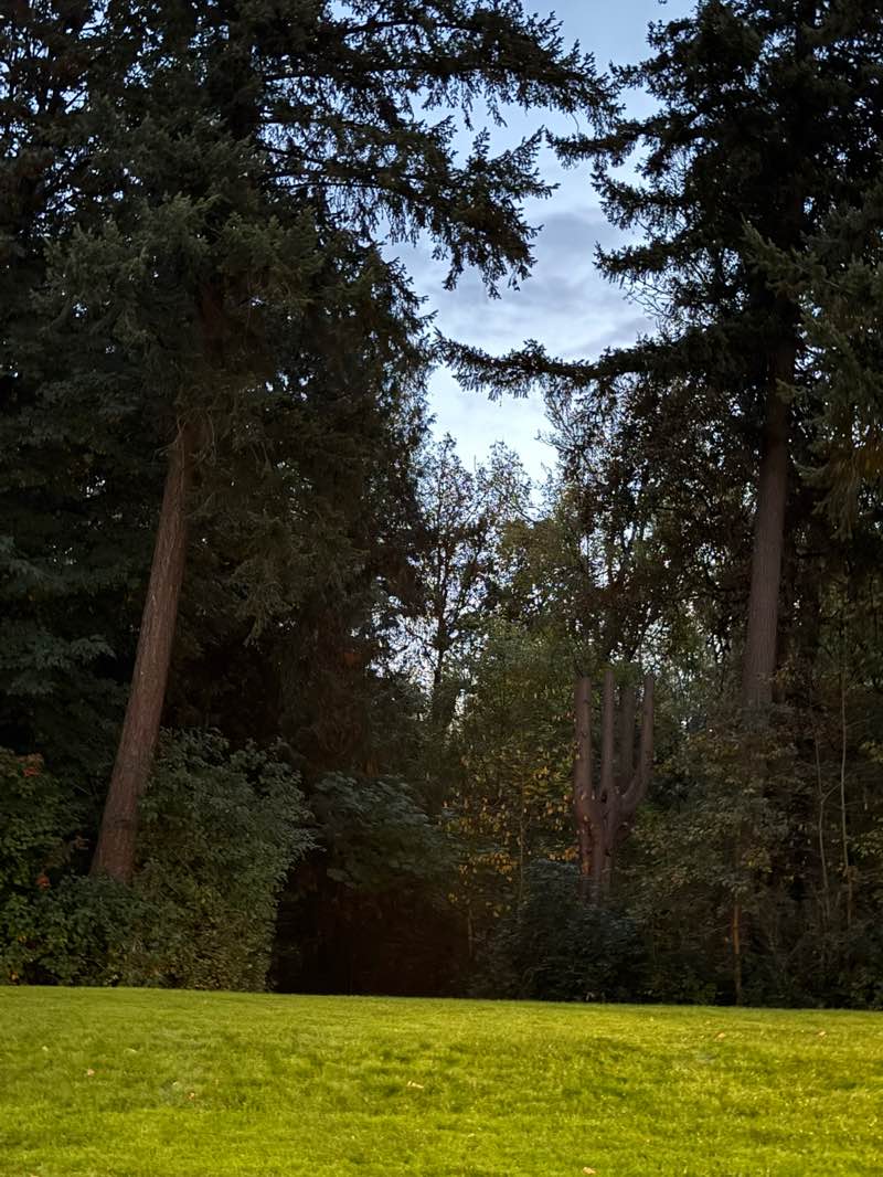 walking near me in Fairview Community Park in autumn