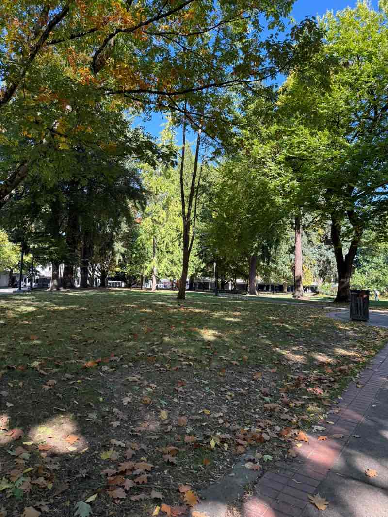 walking near me in Holladay Park in autumn
