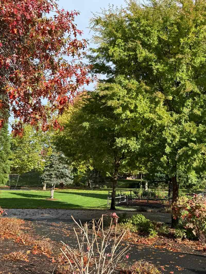 walking near me in Main City Park in autumn