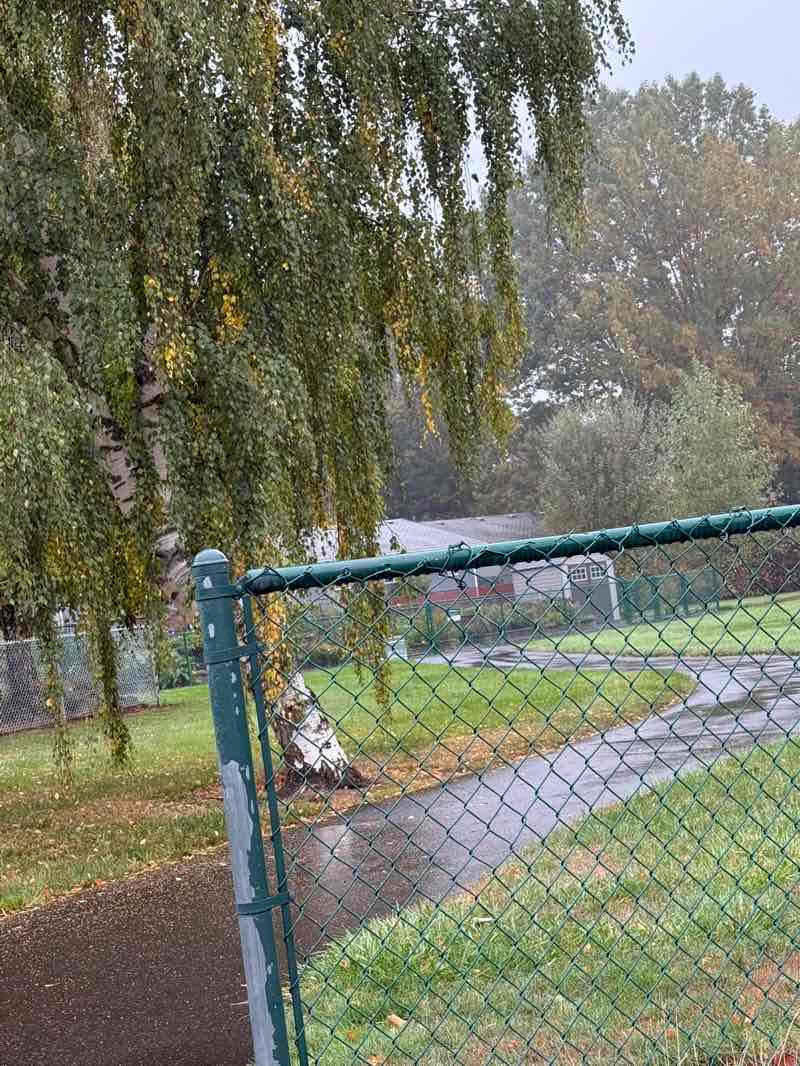 walking near me in Park Cleone in autumn