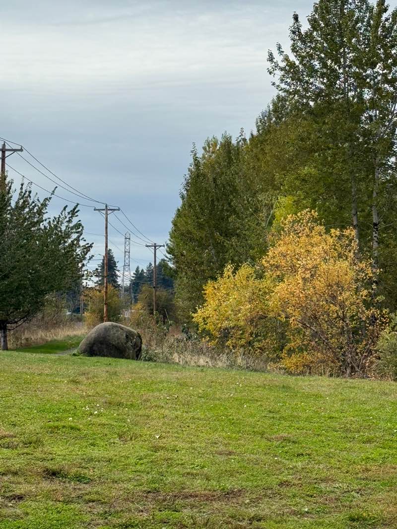 walking near me in Salish Ponds Park in autumn