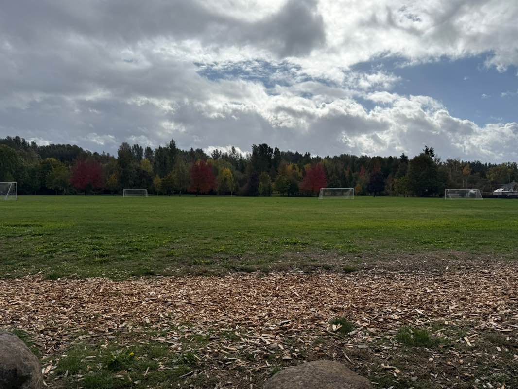walking near me in Donald L. Robertson City Park in autumn