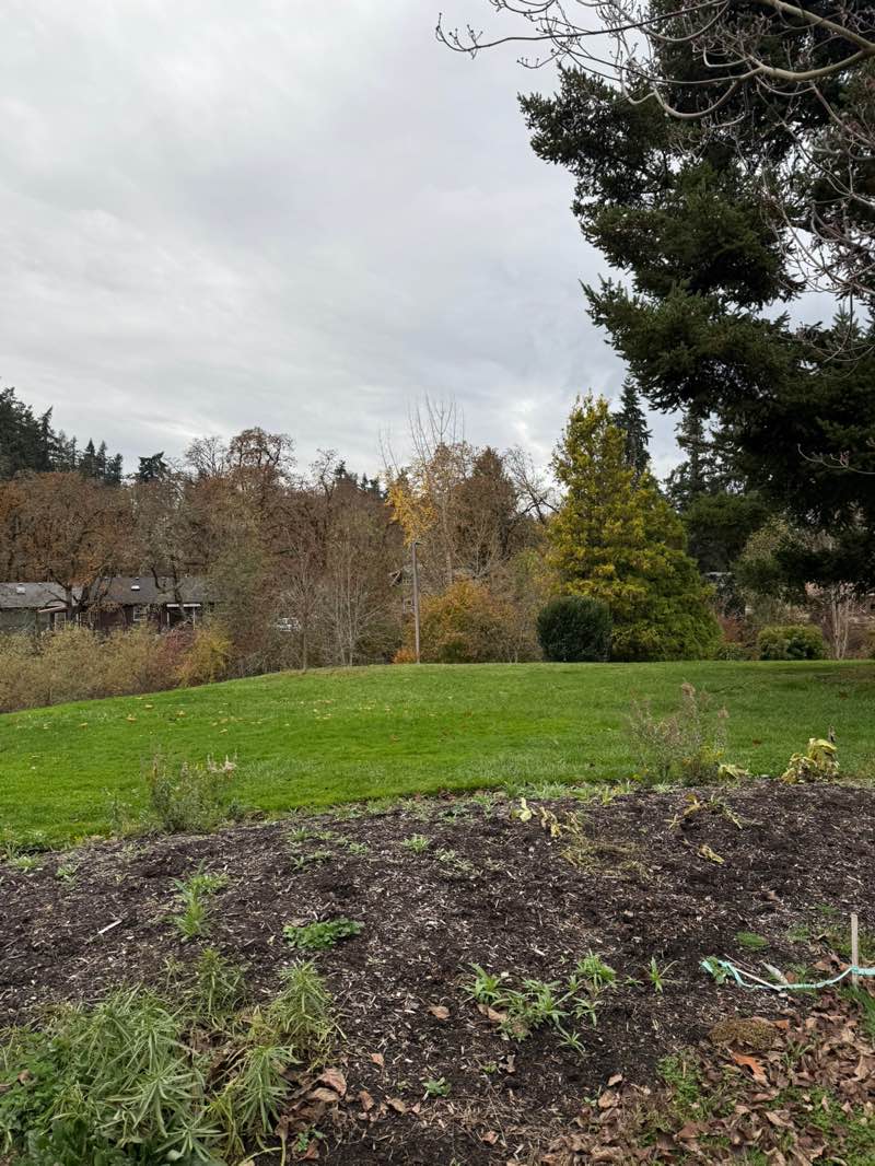 walking near me in Old Mill Park in autumn