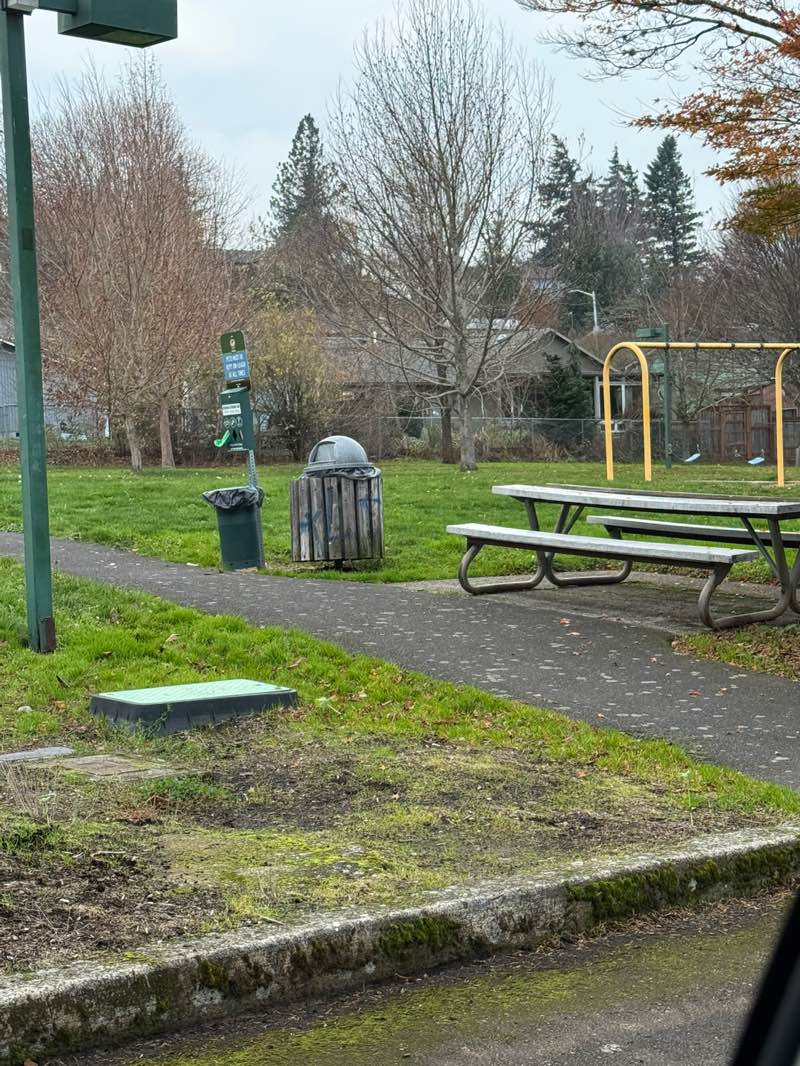 walking near me in Weedin Park in autumn