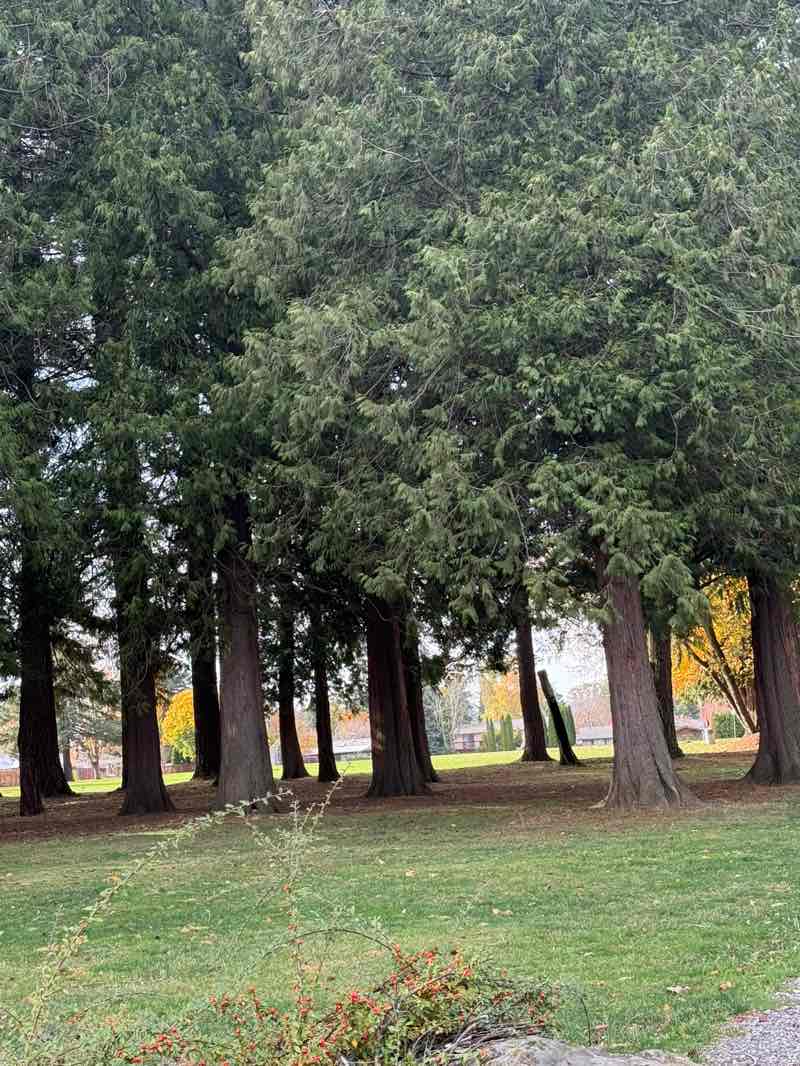 walking near me in North Gresham Park in autumn