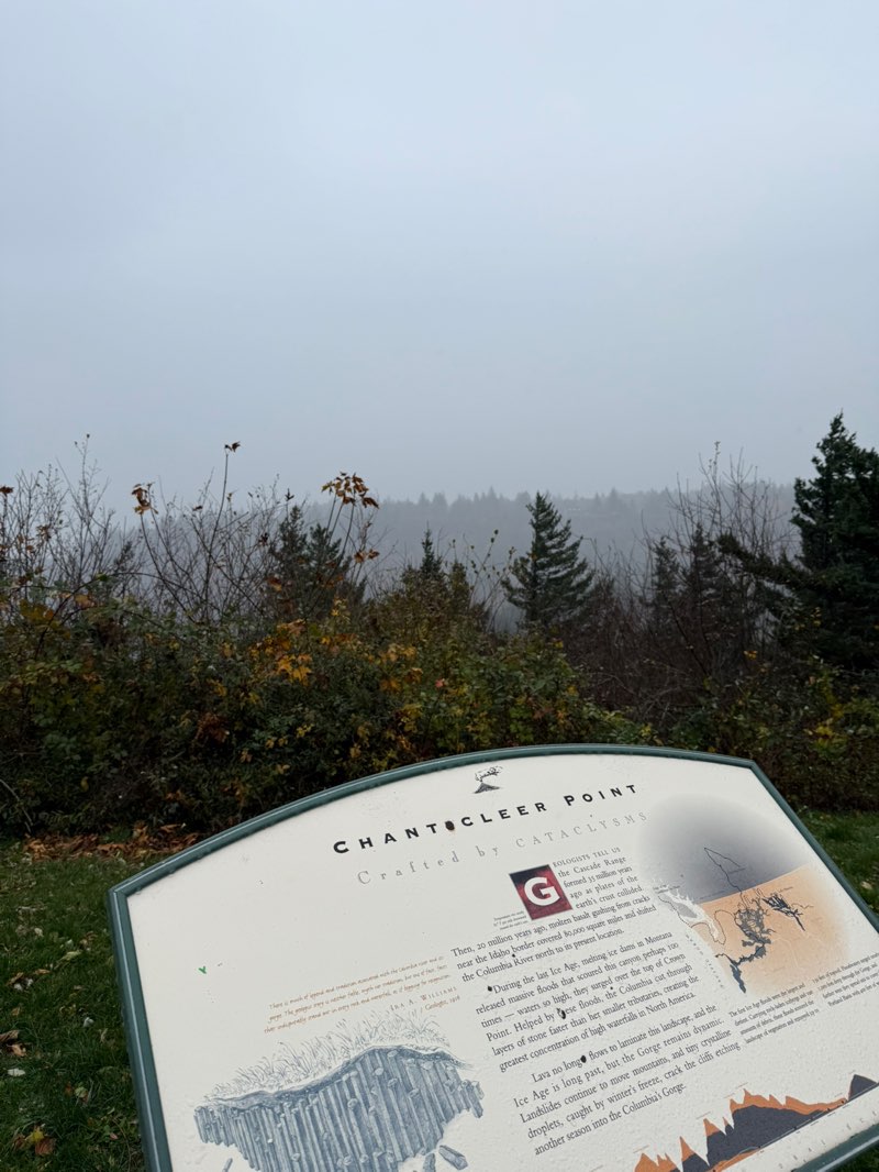 walking near me in Portland Women's Forum State Scenic Viewpoint in autumn