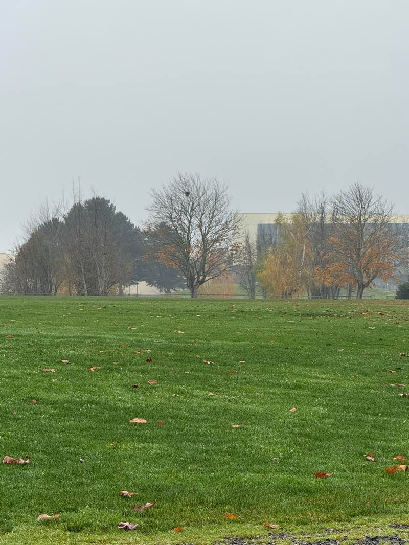 walking near me in Hall Park in autumn