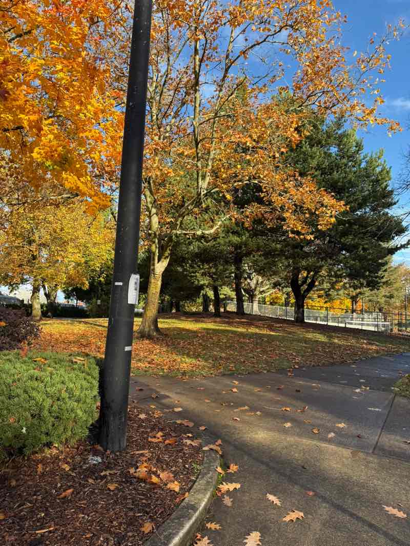 walking near me in Aspen Highlands Park in autumn