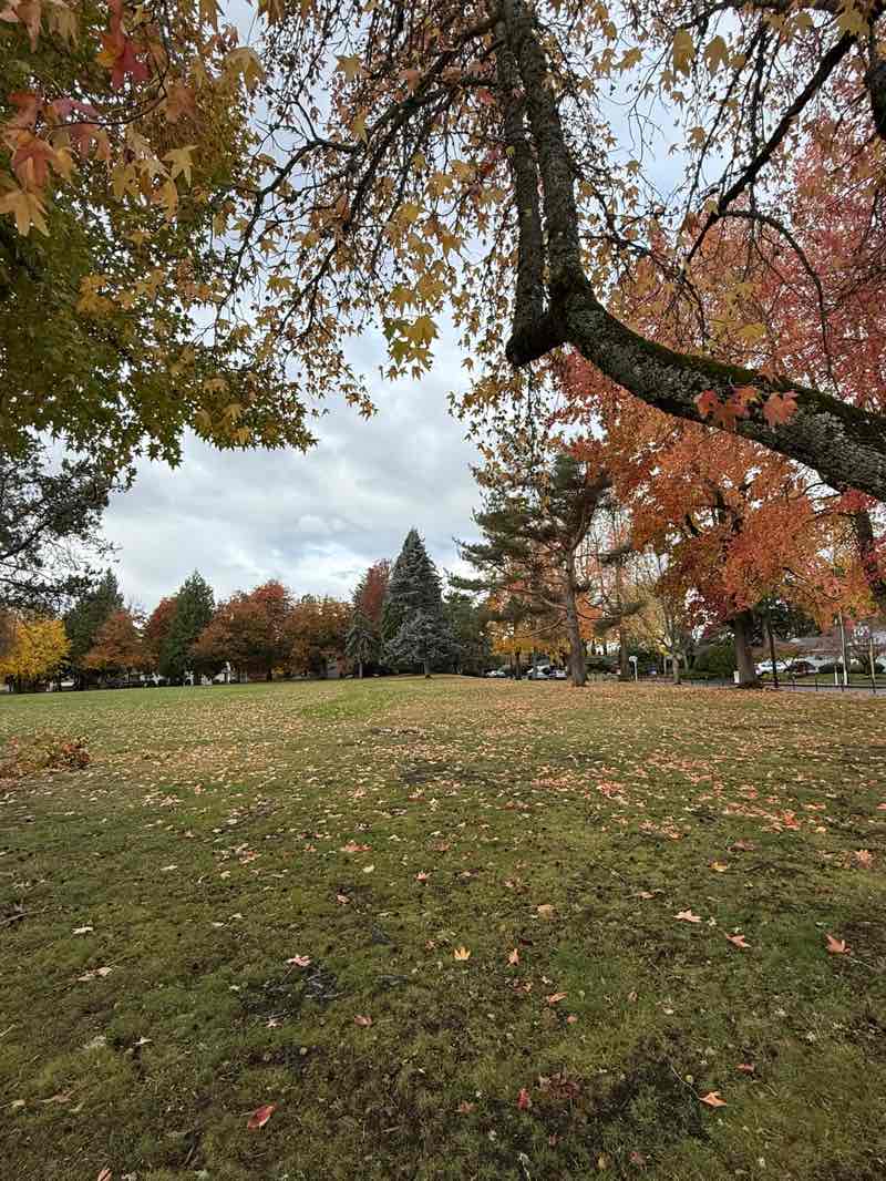 walking near me in Bella Vista Park in autumn