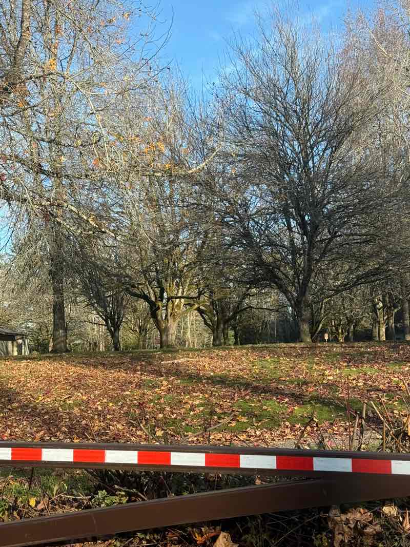 walking near me in Lewis and Clark State Recreation Site in winter